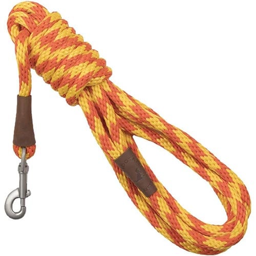 The Best Long Leashes for Dogs Preventive Vet